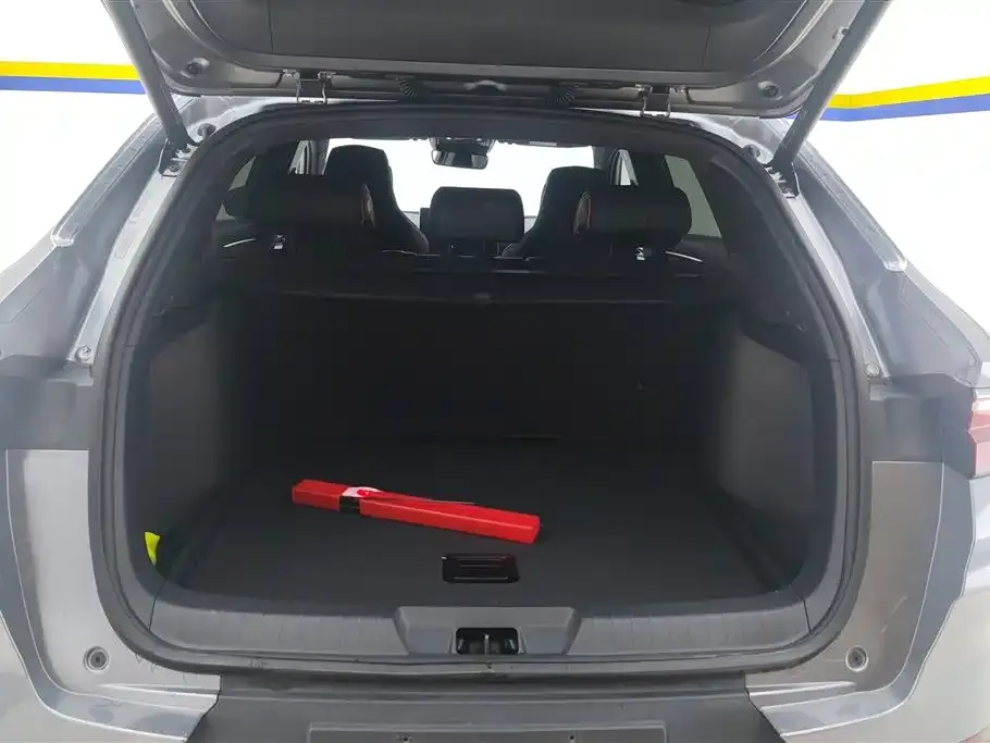 BYD PLUS New Energy — фото 10