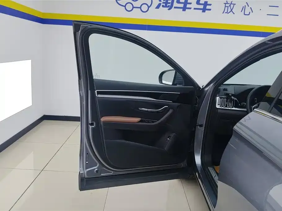 BYD PLUS New Energy — фото 4