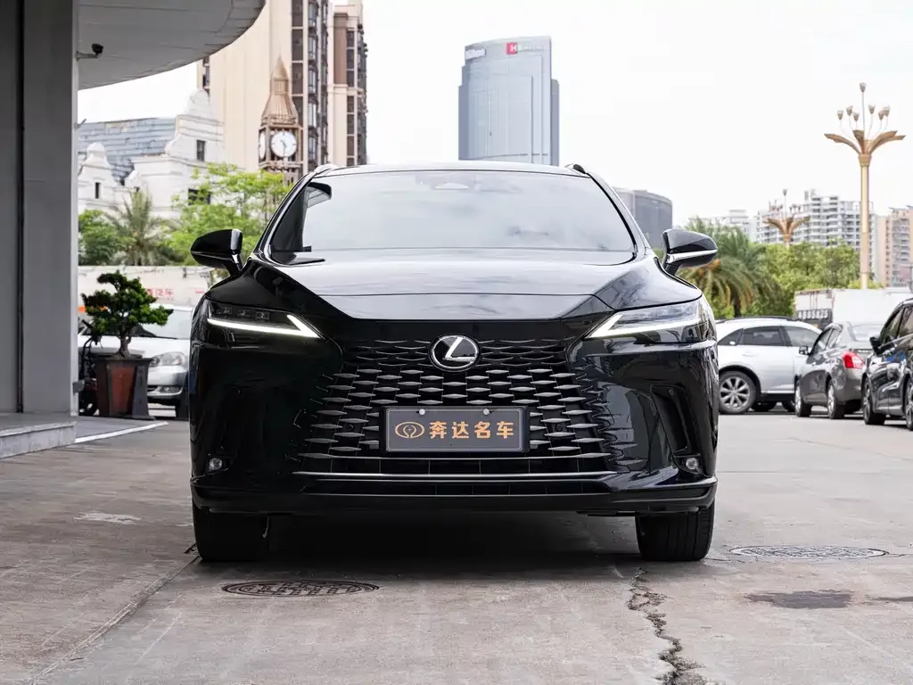 Lexus RX — фото 9