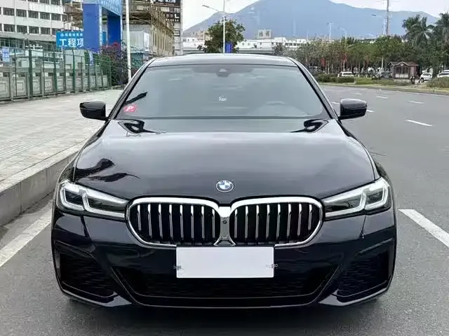 BMW 5 Series 2021 из CN, фото 9