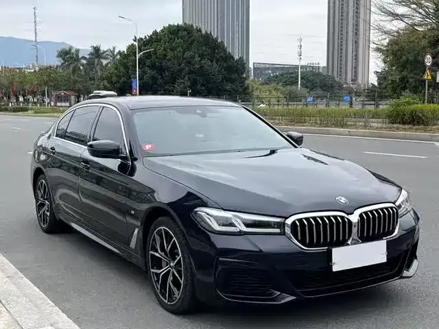 BMW 5 Series 2021 из CN, фото 4