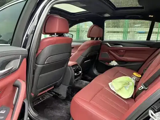 BMW 5 Series 2021 из CN, фото 7
