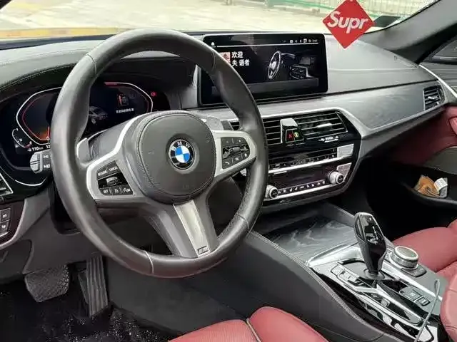 BMW 5 Series 2021 из CN, фото 5