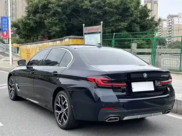 BMW 5 Series 2021 из CN, фото 6