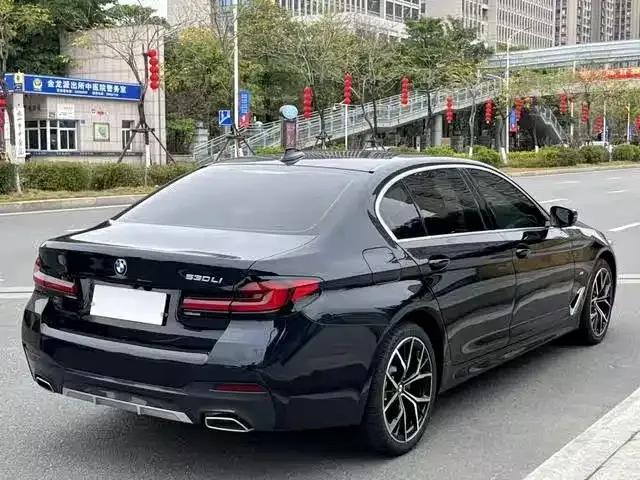 BMW 5 Series 2021 из CN, фото 8