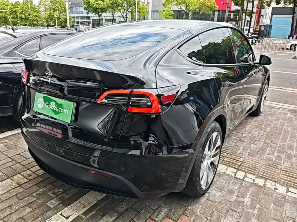 Tesla Model Y — фото 9