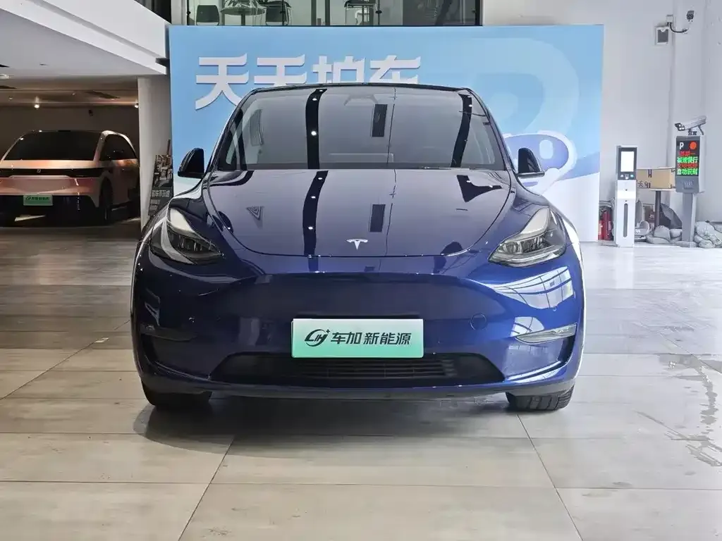 Tesla Model Y — фото 2