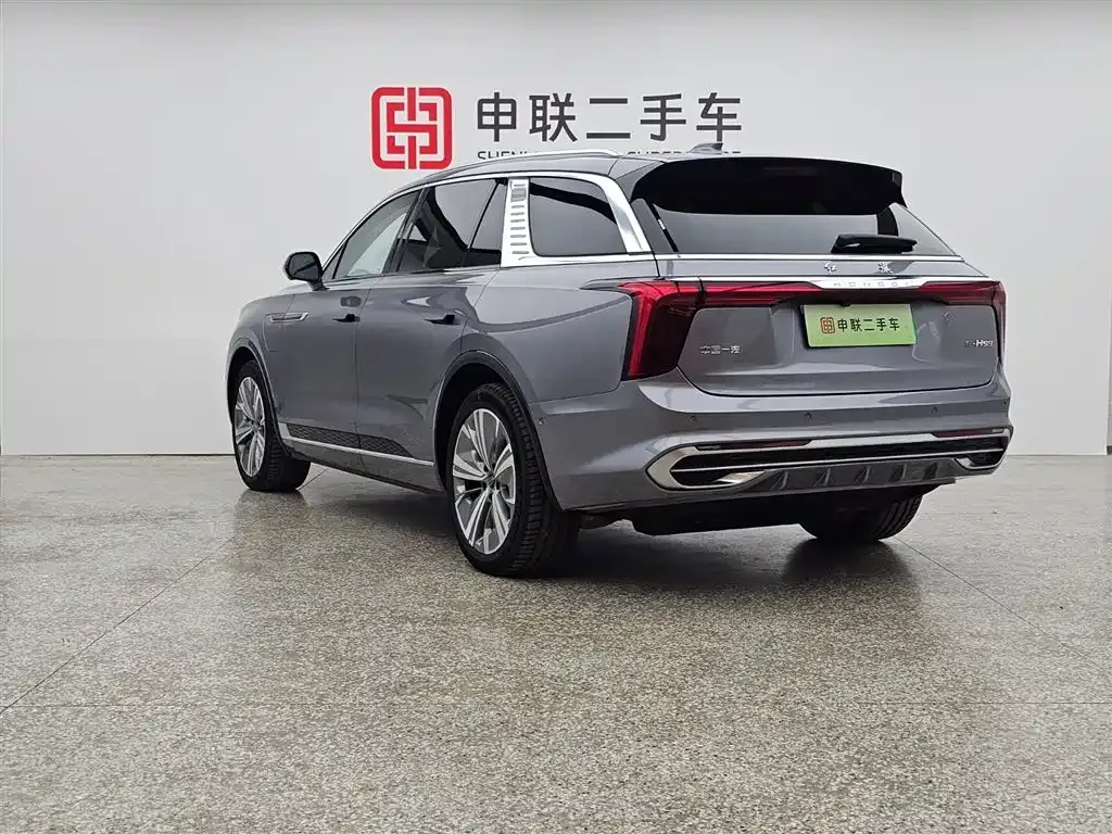 Hongqi E-HS9 2023 из CN, фото 10