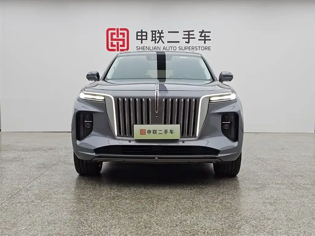 Hongqi E-HS9 2023 из CN, фото 9