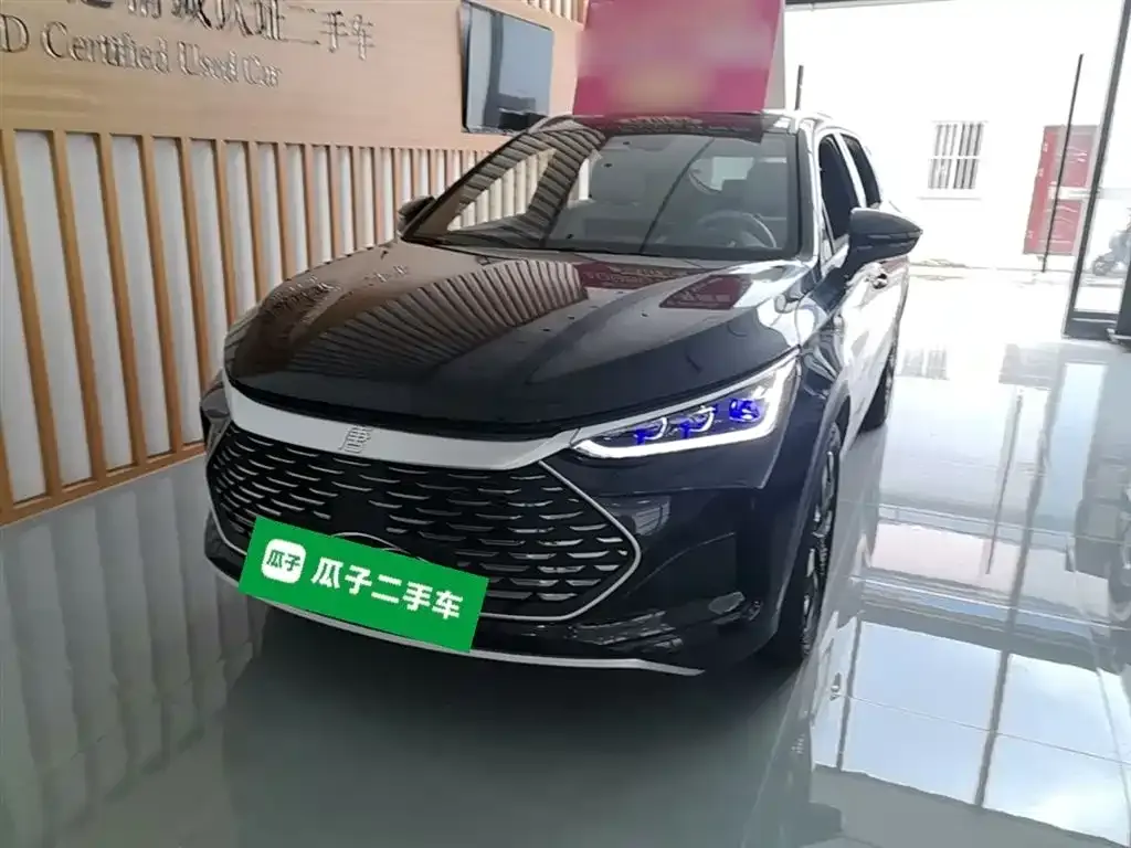 BYD Tang New Energy — фото 1