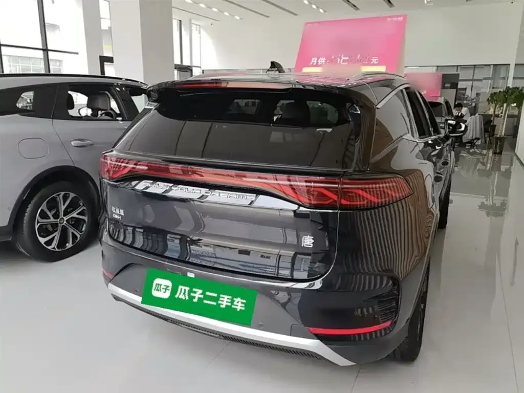 BYD Tang New Energy — фото 4