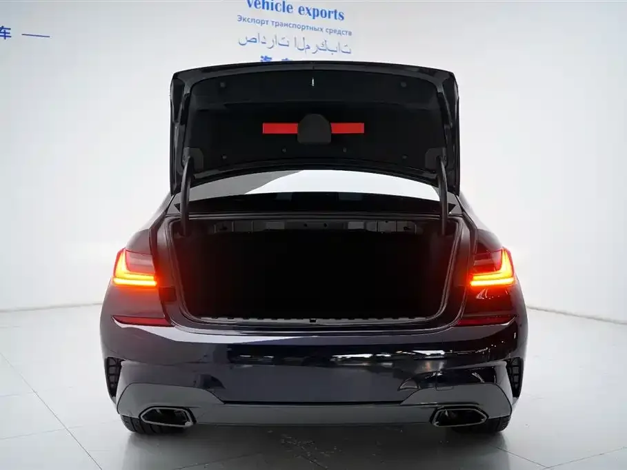 BMW 3 Series 2021 из CN, фото 8