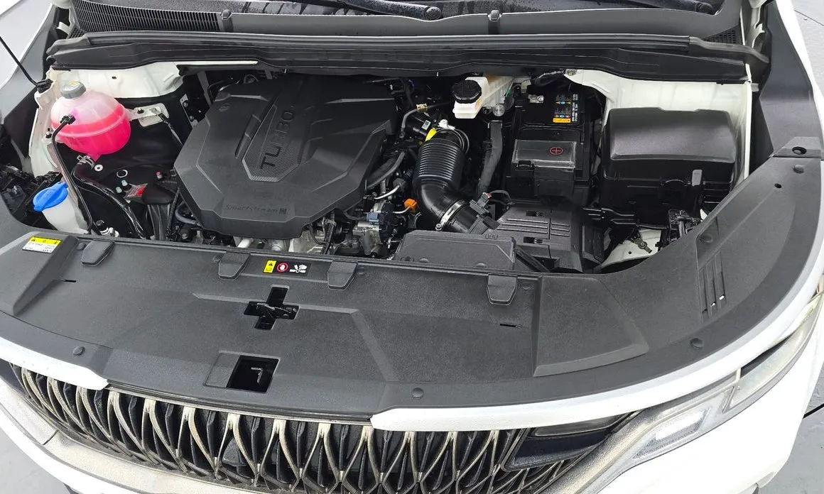 Kia Carnival — фото 10