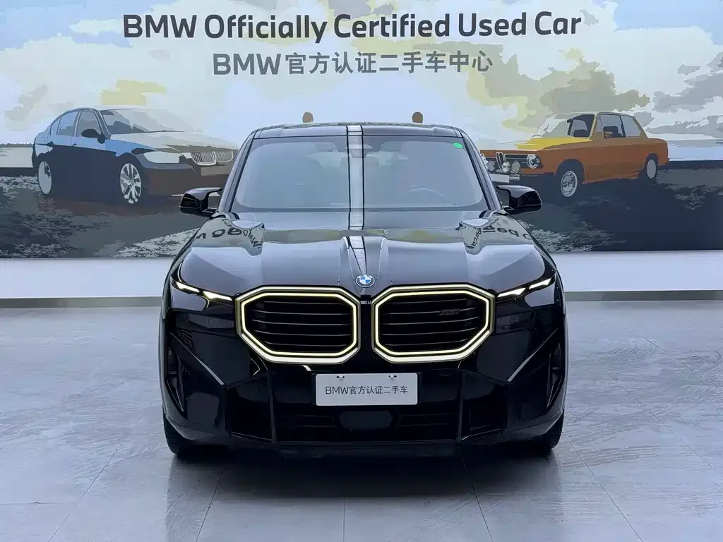 BMW XM 2023 из CN, фото 3