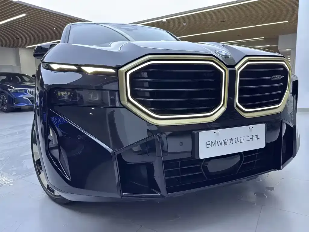 BMW XM 2023 из CN, фото 4