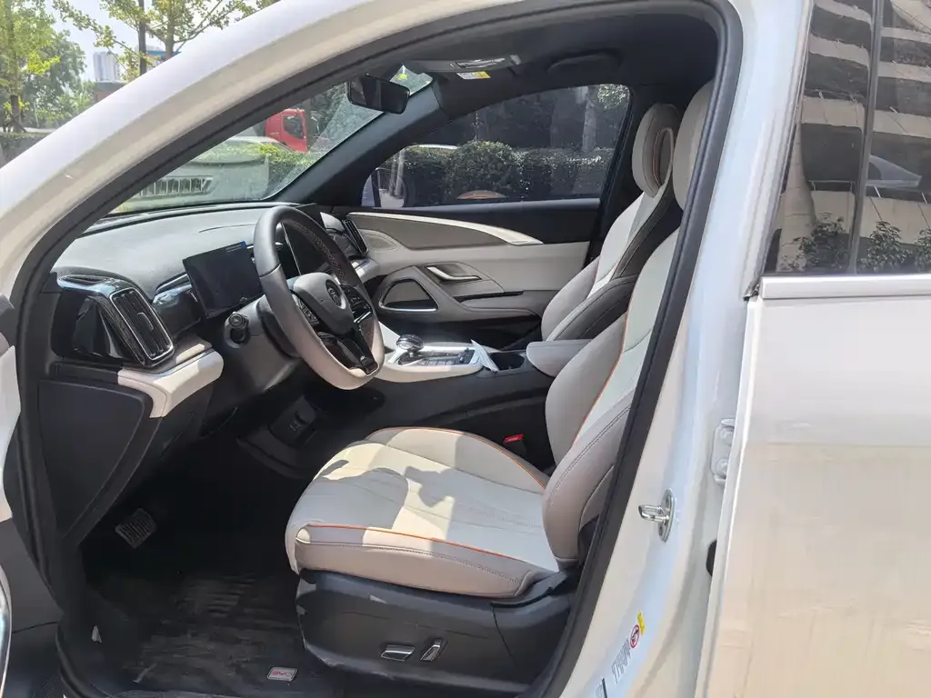 BYD Pro New Energy 2024 из CN, фото 7