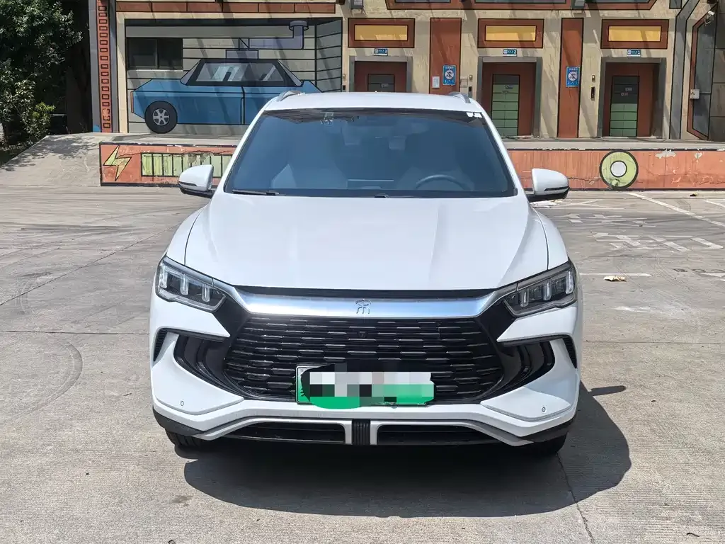 BYD Pro New Energy 2024 из CN, фото 9