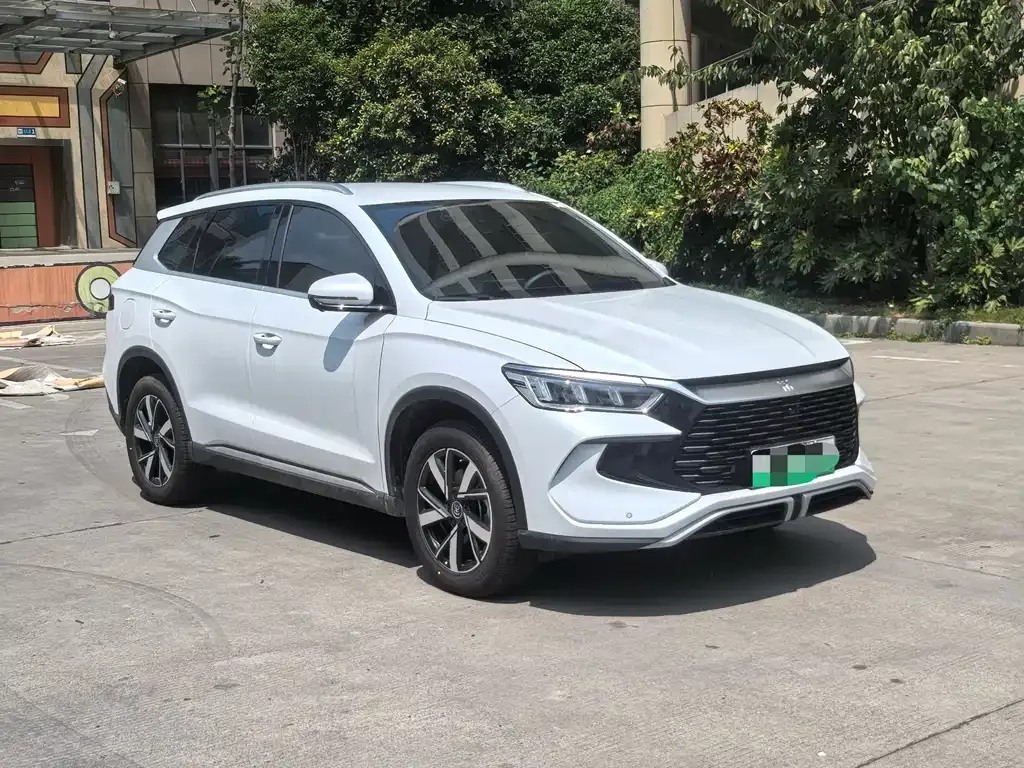 BYD Pro New Energy 2024 из CN, фото 8