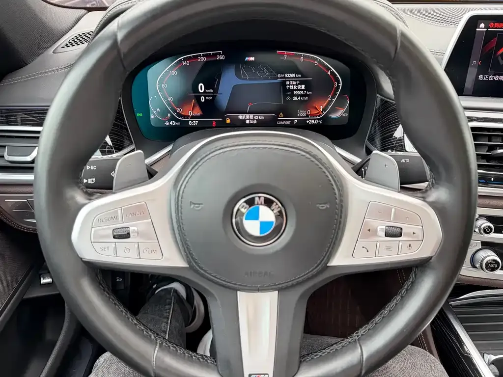 BMW 7 Series 2021 из CN, фото 8