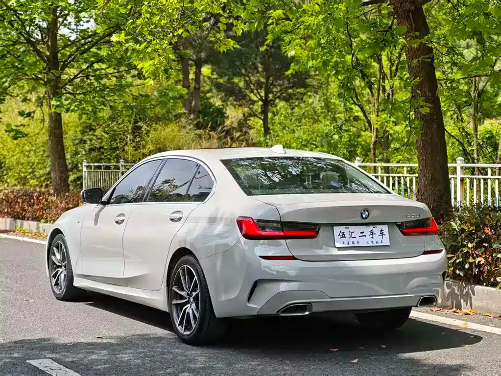 BMW 3 Series 2021 из CN, фото 9