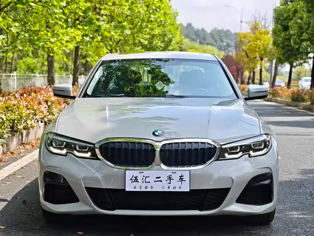 BMW 3 Series 2021 из CN, фото 6