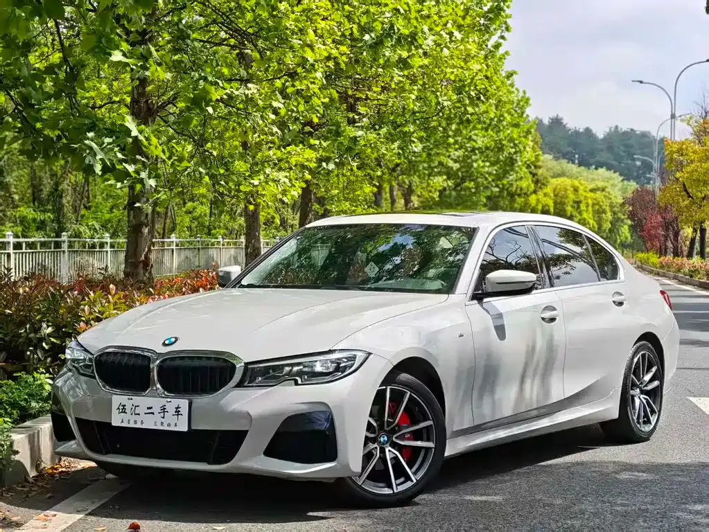 BMW 3 Series 2021 из CN, фото 10