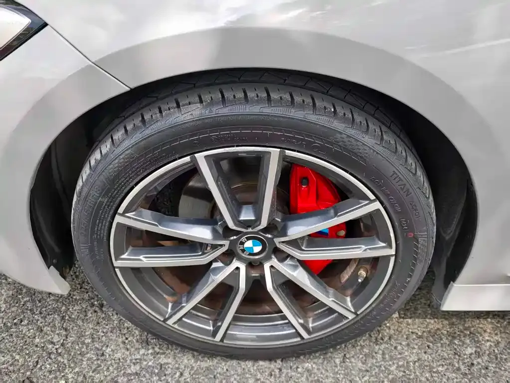BMW 3 Series 2021 из CN, фото 3