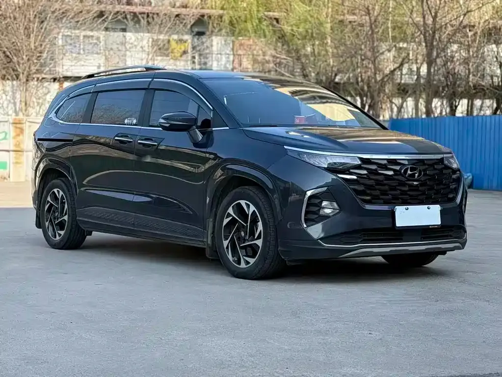 Hyundai Custo — фото 10