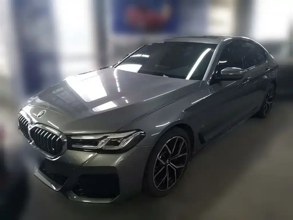 BMW 5 Series (Import) 2023 из CN, фото 7