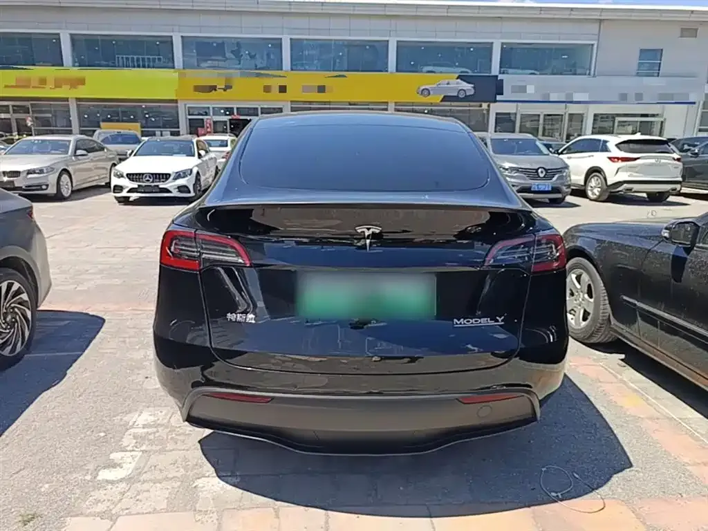 Tesla Model Y — фото 3