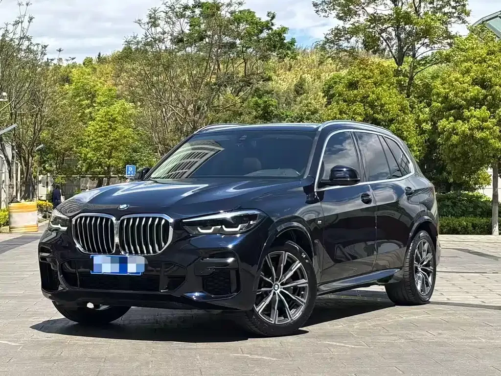 BMW X5 (Import) — фото 1