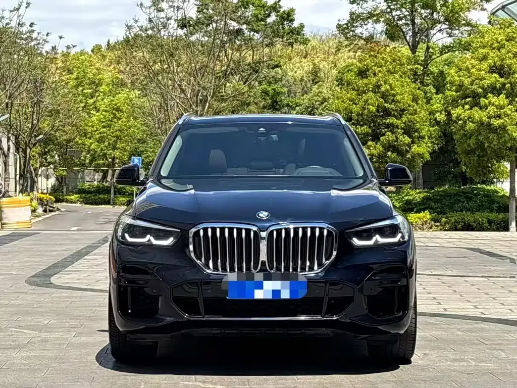 BMW X5 (Import) — фото 10