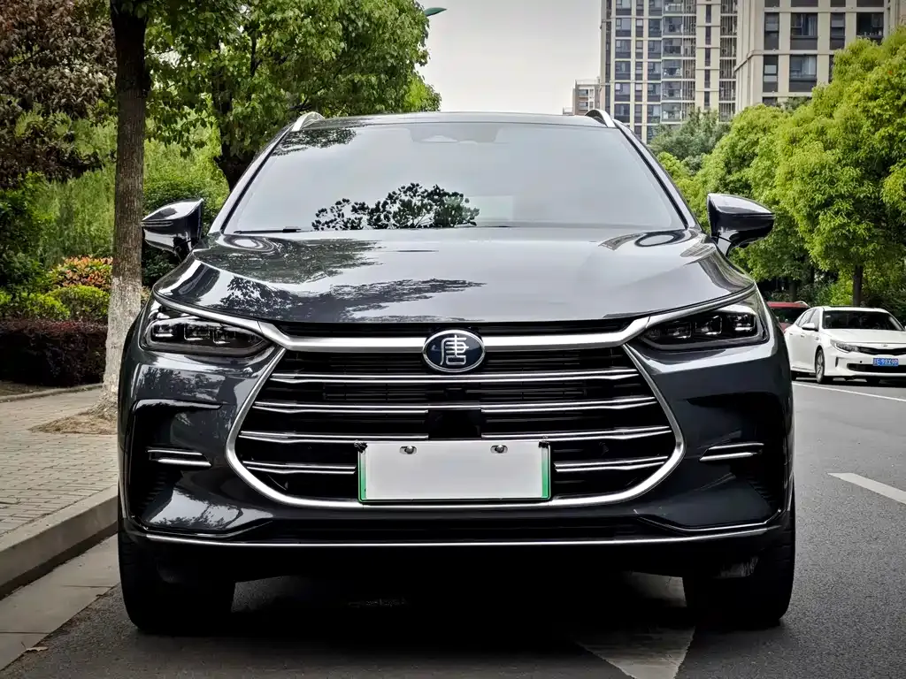 BYD Tang New Energy — фото 5