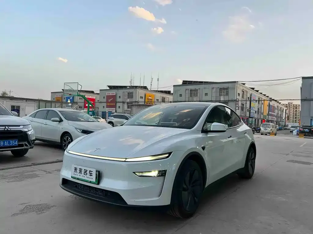 Tesla Model Y — фото 1