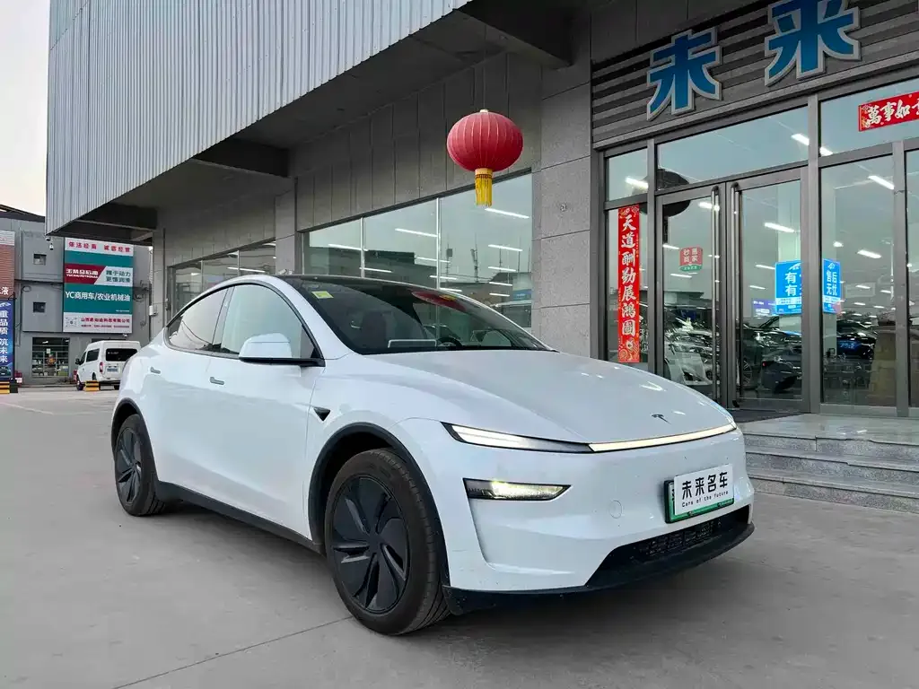 Tesla Model Y — фото 6