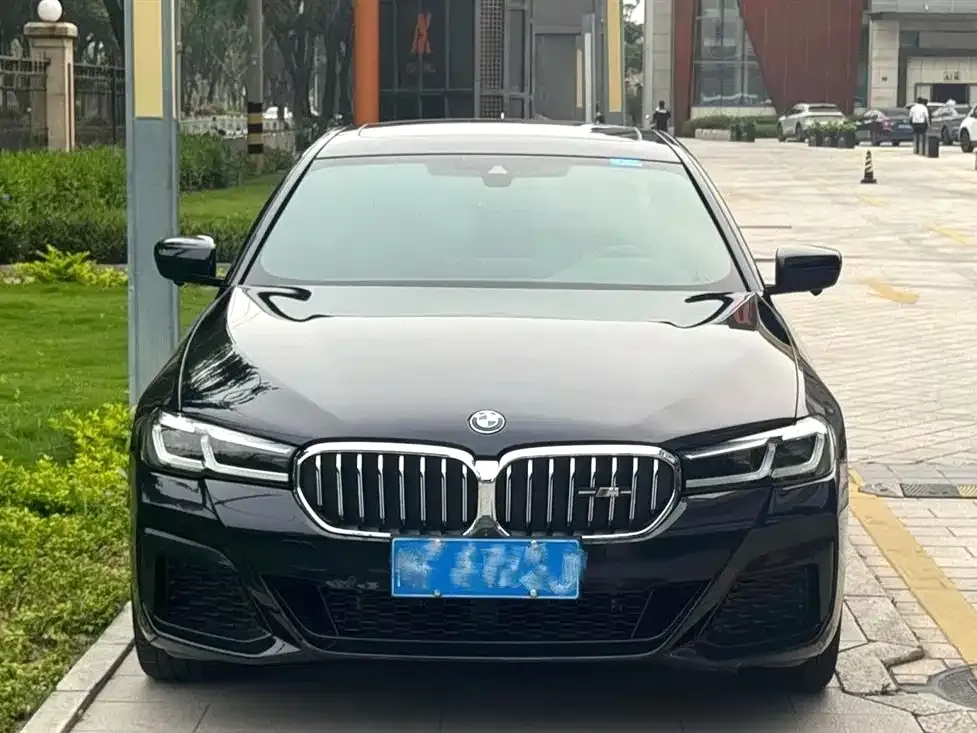 BMW 5 Series 2022 из CN, фото 8