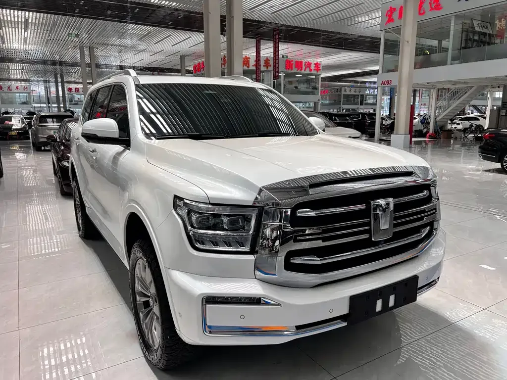 Tank 500 New Energy 2024 из CN, фото 9