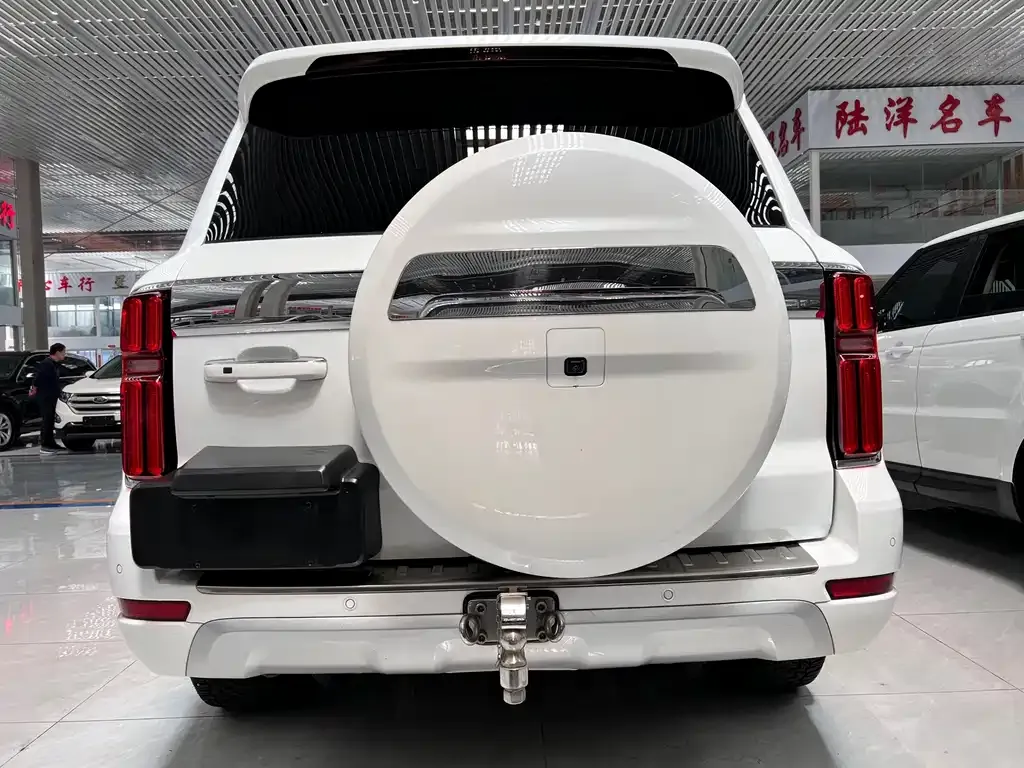 Tank 500 New Energy 2024 из CN, фото 7