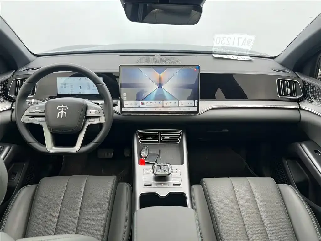 BYD Pro New Energy — фото 4
