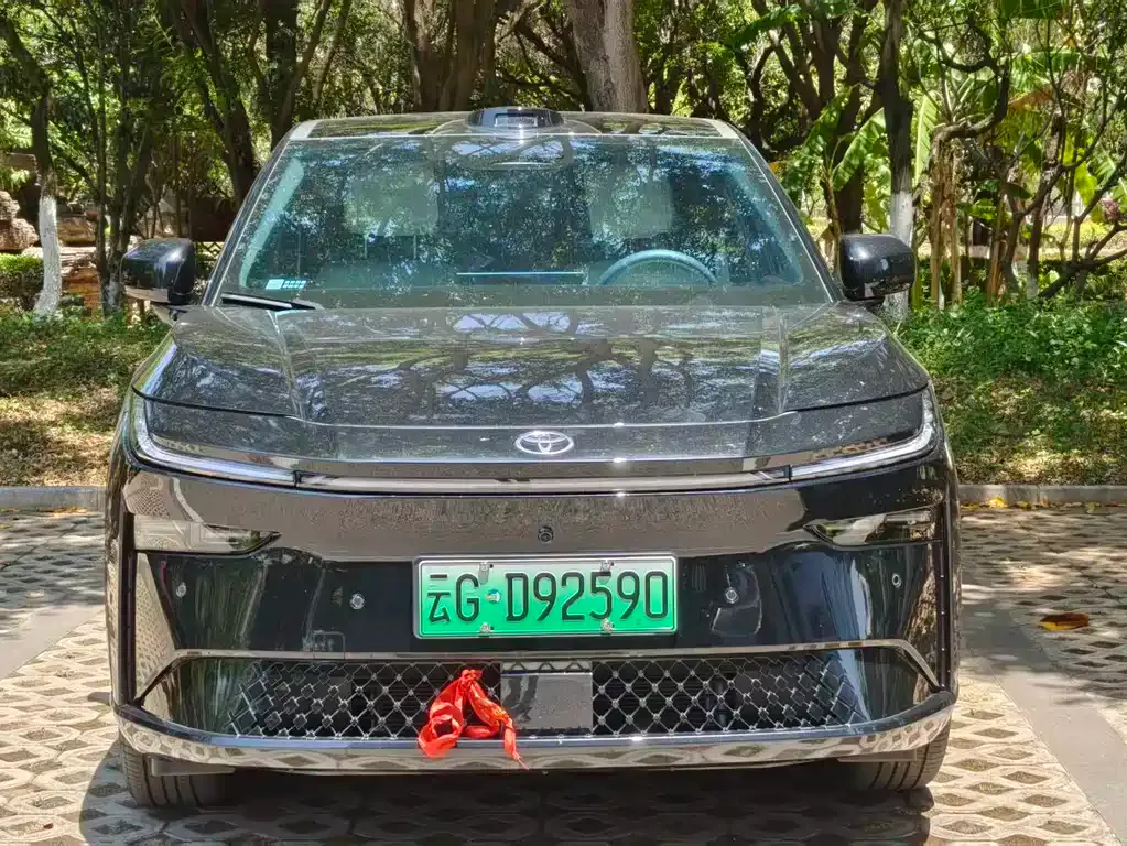 Toyota Platinum 3X 2025 из CN, фото 9