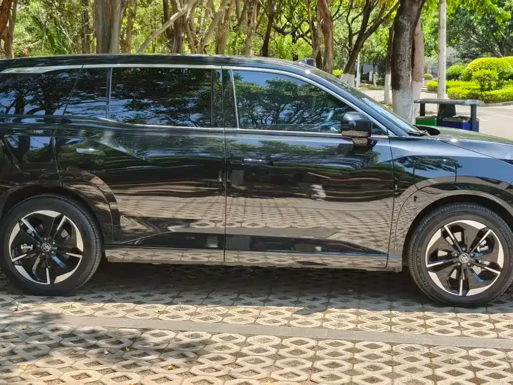 Toyota Platinum 3X 2025 из CN, фото 6