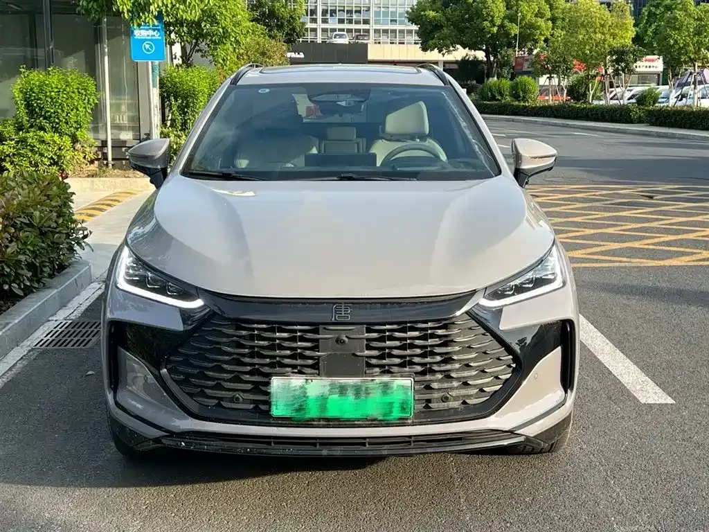 BYD Tang New Energy — фото 10