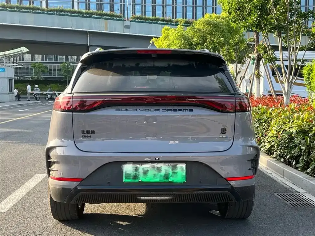 BYD Tang New Energy — фото 5