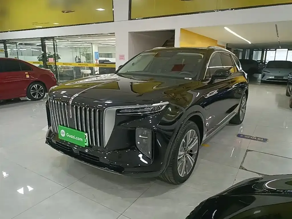 Hongqi E-HS9 2023 из CN, фото 5