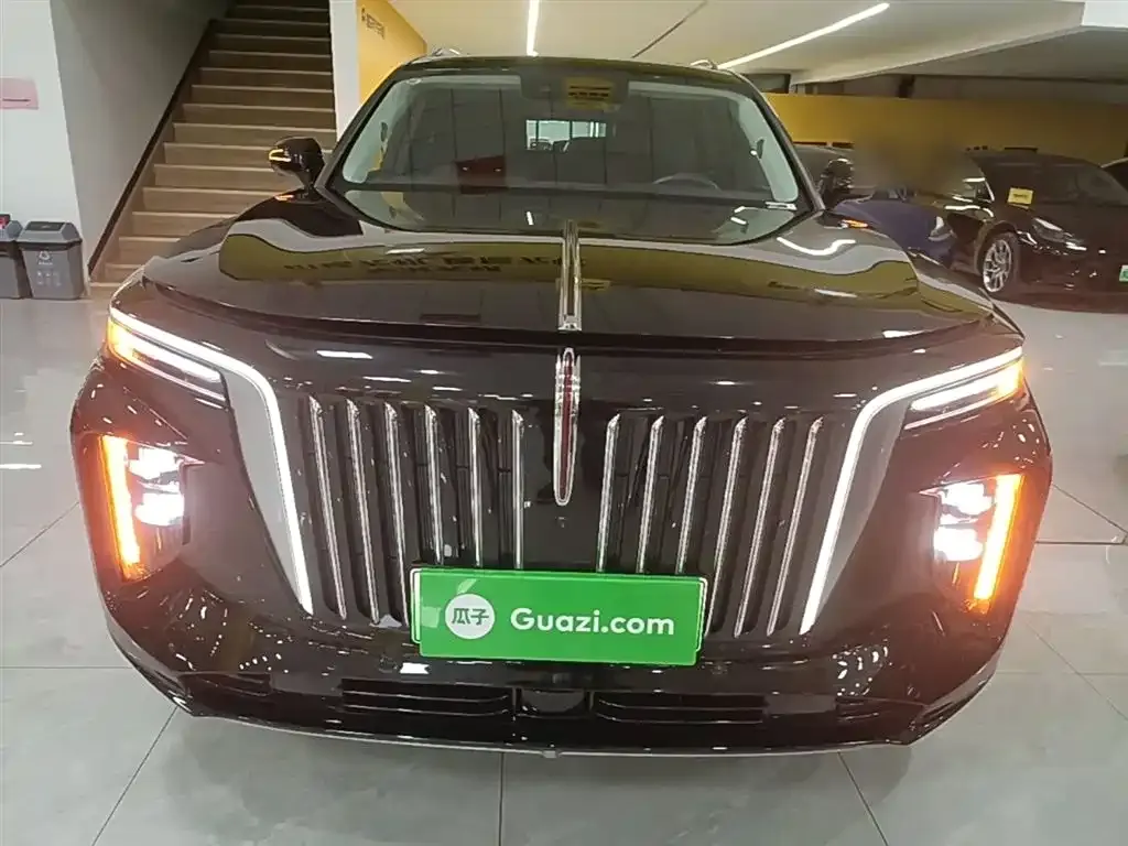 Hongqi E-HS9 2023 из CN, фото 8