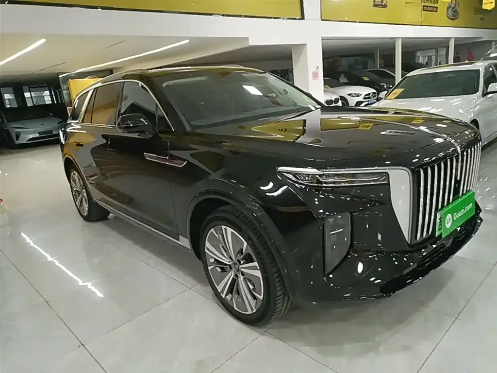 Hongqi E-HS9 2023 из CN, фото 10