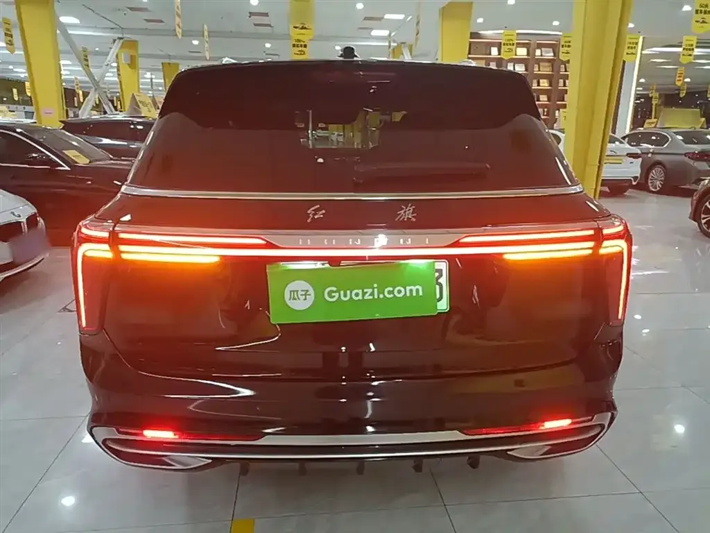 Hongqi E-HS9 2023 из CN, фото 6