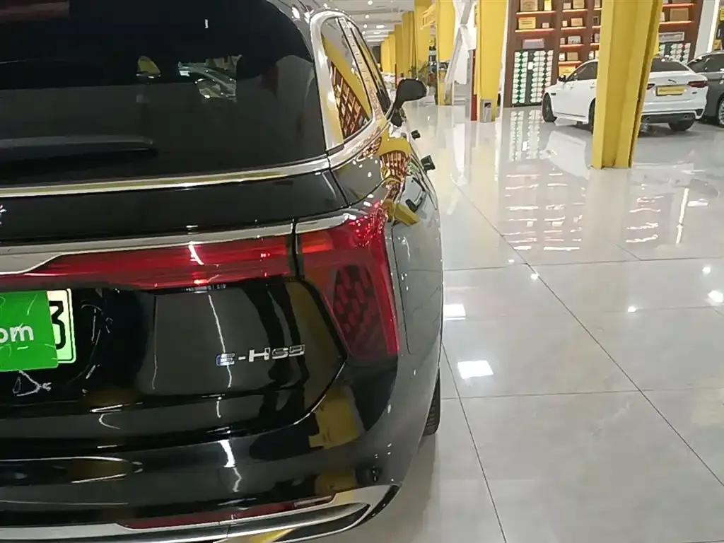 Hongqi E-HS9 2023 из CN, фото 9