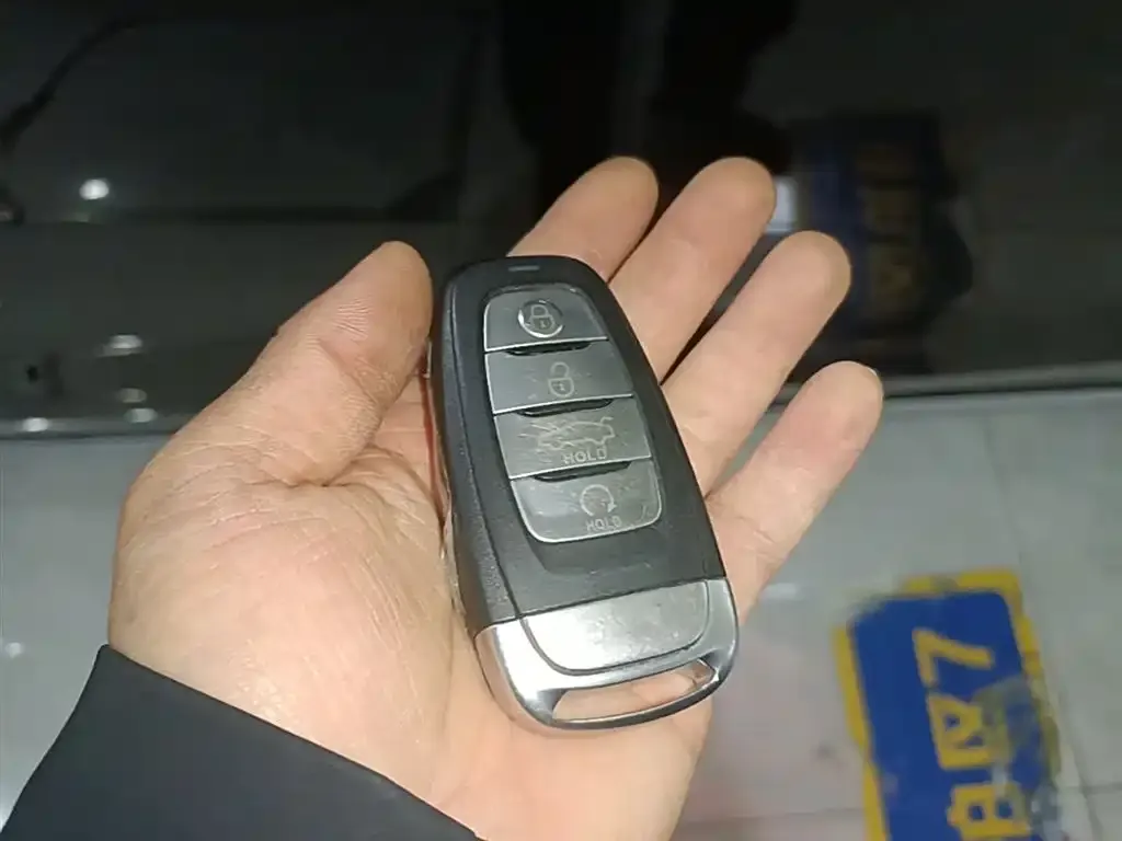 Hongqi E-HS9 2023 из CN, фото 2