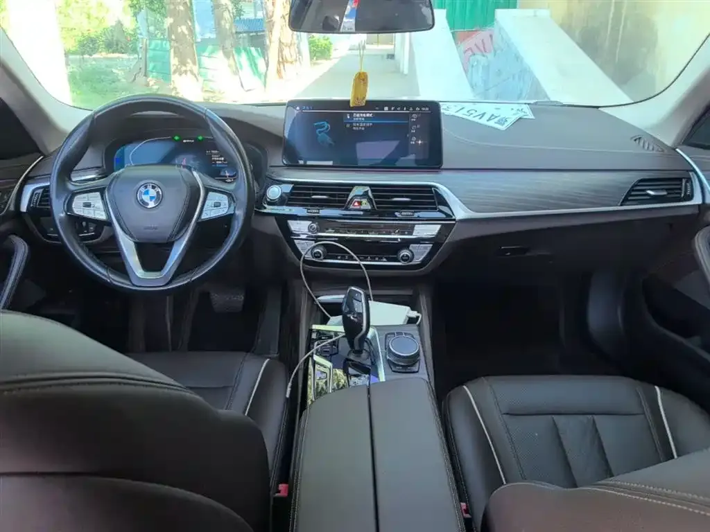 BMW 5 Series New Energy 2021 из CN, фото 6